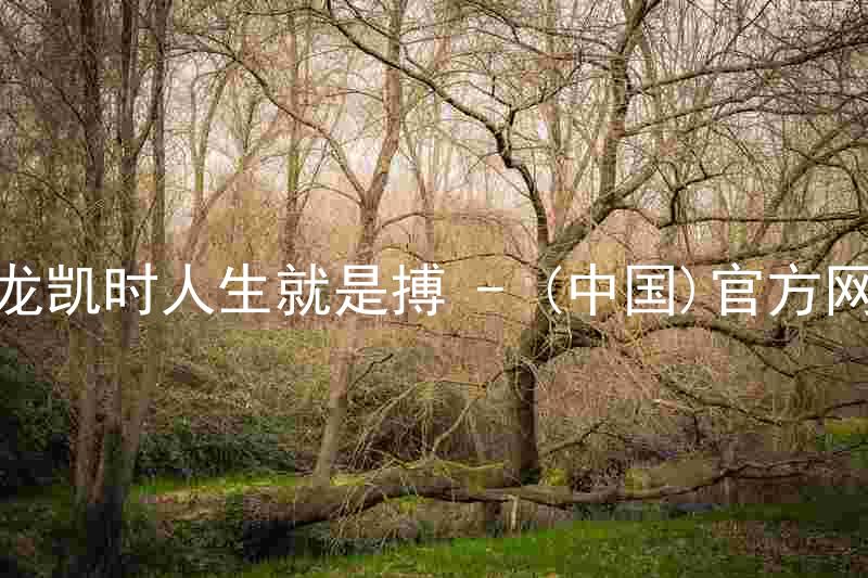 尊龙凯时人生就是搏 - (中国)官方网站