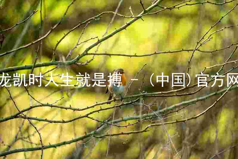 尊龙凯时人生就是搏 - (中国)官方网站